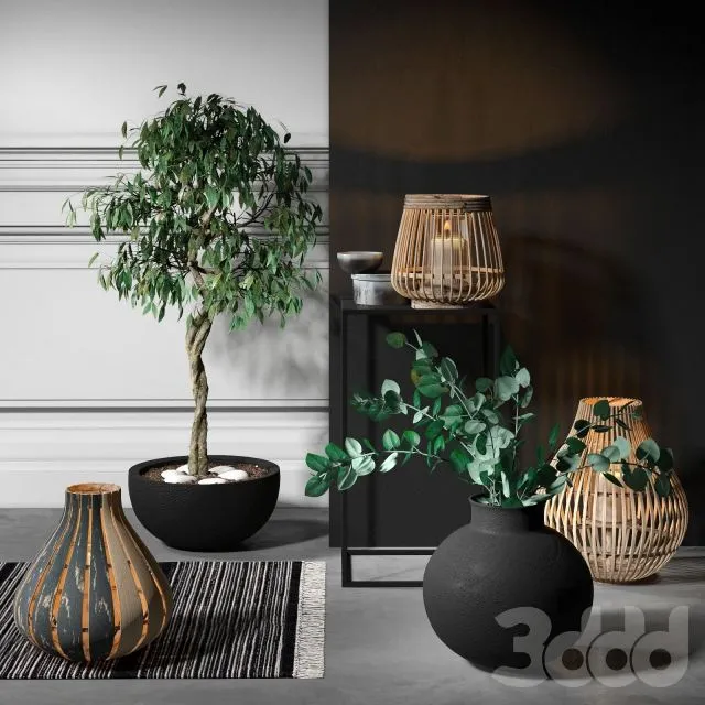 Decorative set with candles and plants 3D Model