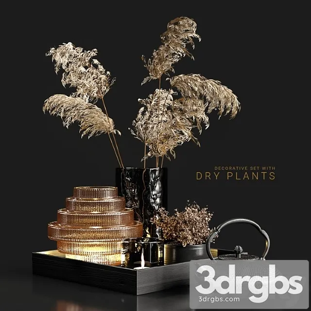 Decorative set with dry plants 3 3D Model Free