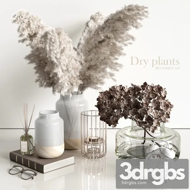 Decorative Set with Dry Plants 3D Model Download