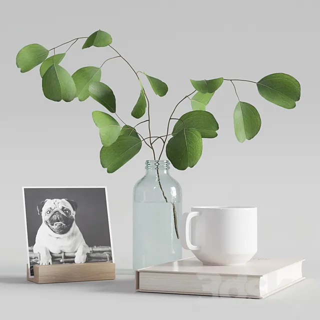 decorative set with eucalyptus branch 2 3DModel