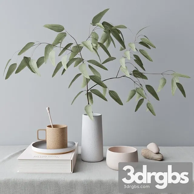 Decorative set with eucalyptus branch 3D Model Download
