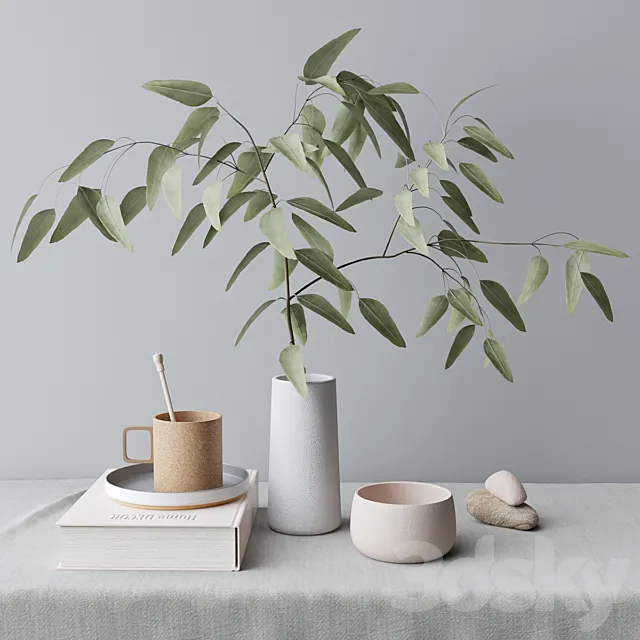 decorative set with eucalyptus branch Free Download