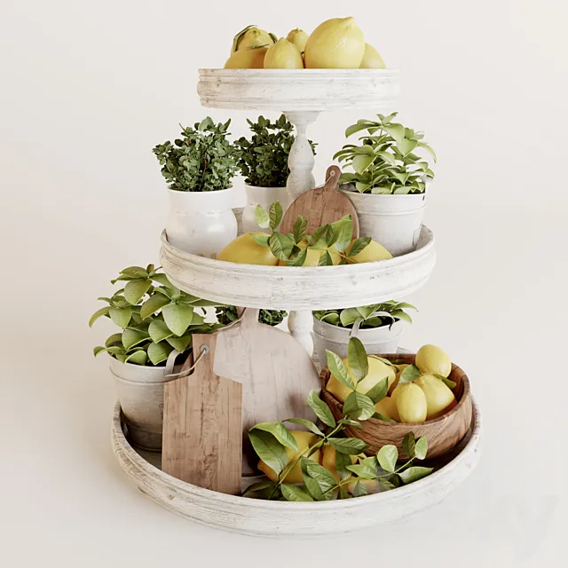 Decorative set with lemons 3D Model