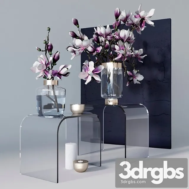 Decorative set with magnolia 3D Model Download