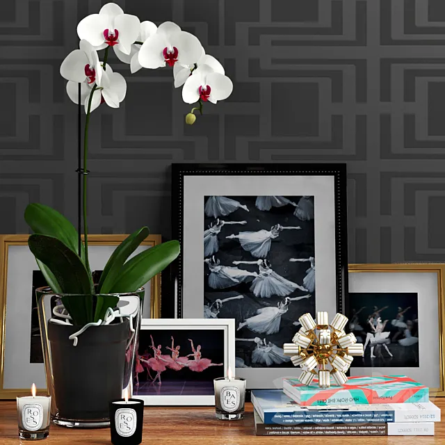 Decorative set with orchid and architect. magazines 3DModel