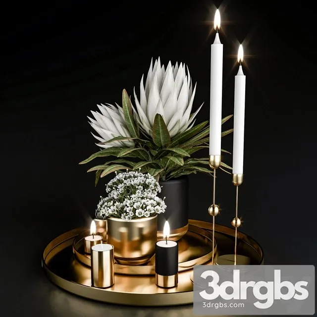 Decorative Set With Plants in Pots 3D Model Free