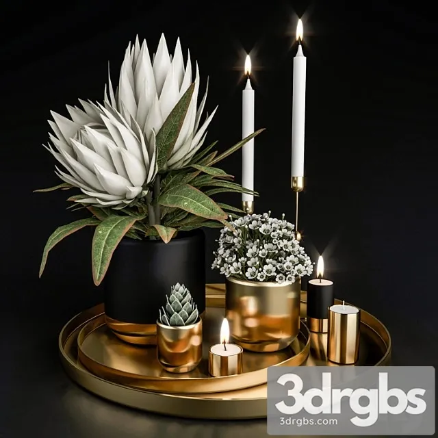 Decorative set with plants in pots. 3D Model Free