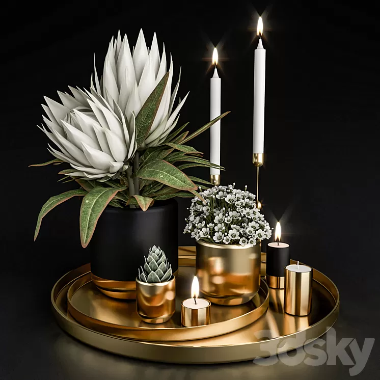 Decorative set with plants in pots. 3D Model