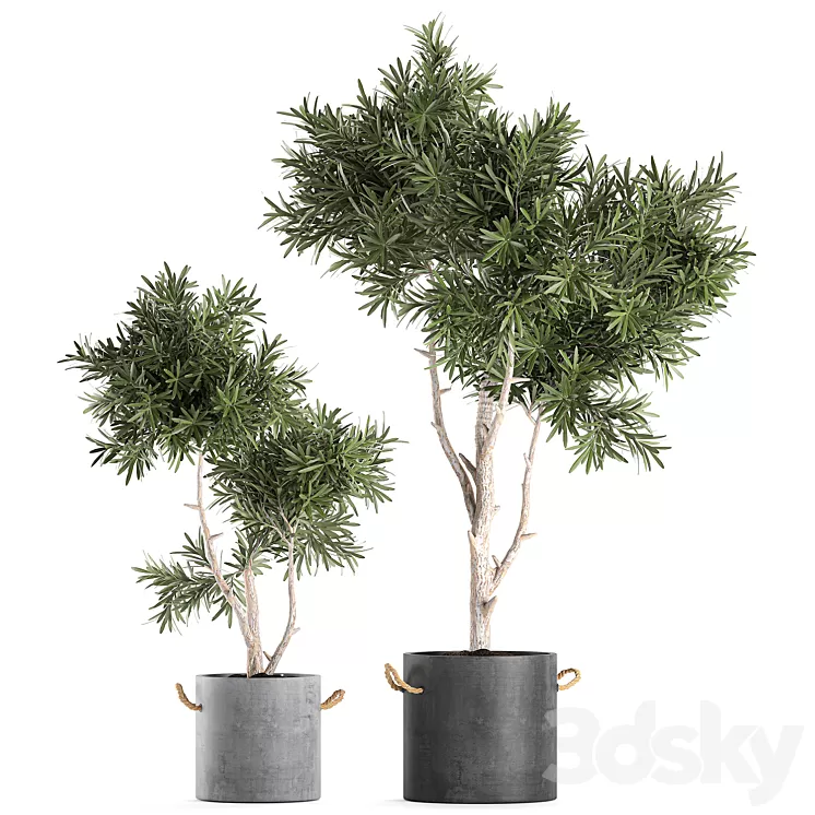 Decorative small tree in a black concrete pot topiary. Set 741. 3D Model