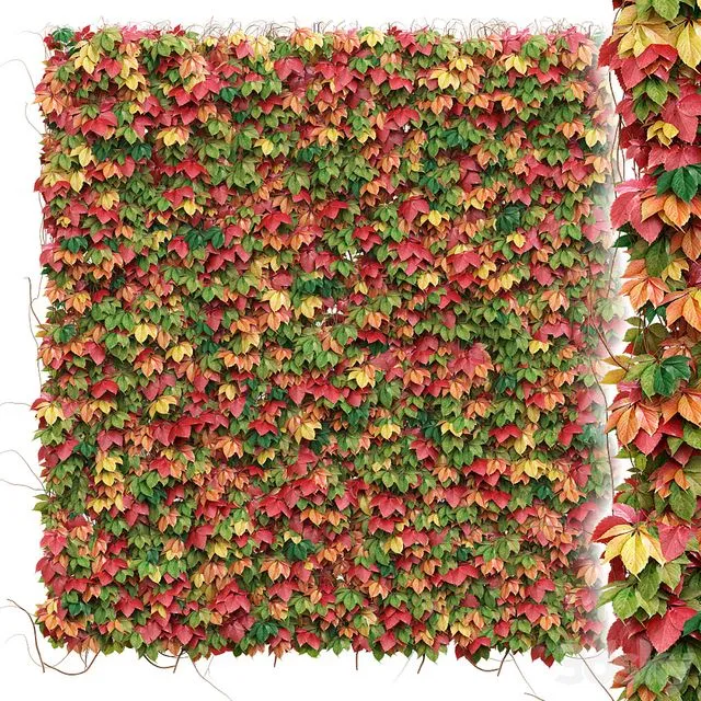 Decorative wall of autumn leaves of grapes 3D Model