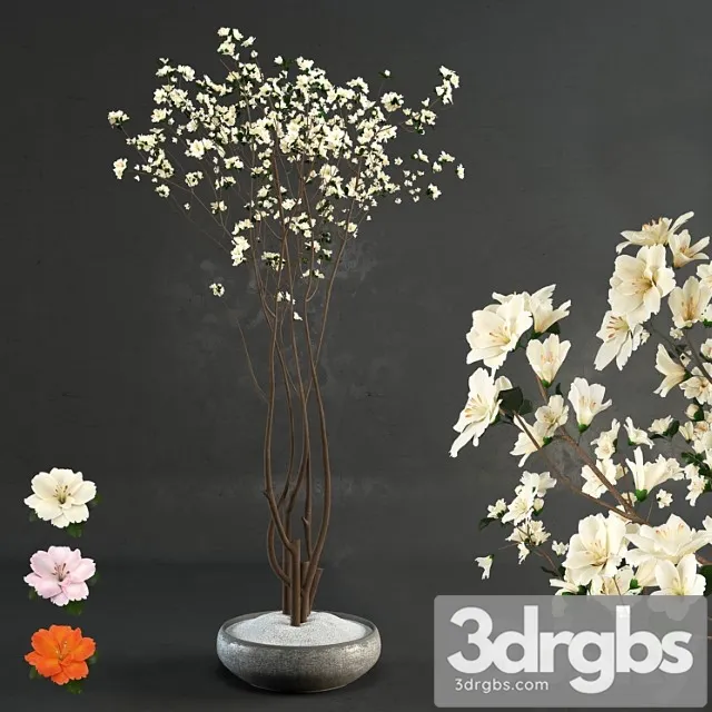 Decorative Wood 3D Model Free