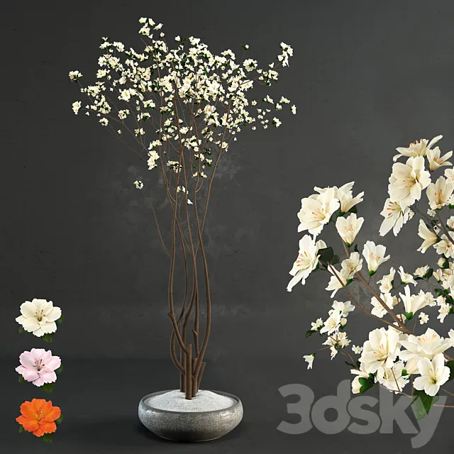 Decorative wood 3D Model