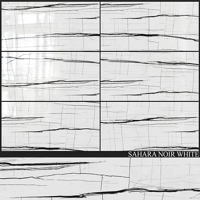 Decovita Sahara Noir White 600x1200 3D Model