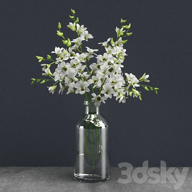 Dendrobium lineale 3D Model