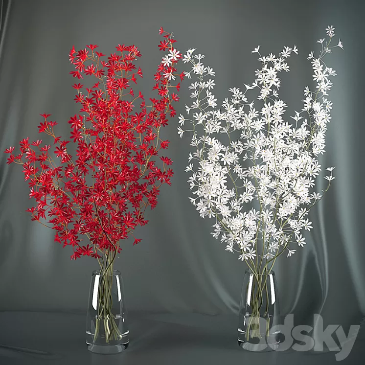 Dendrobium Orchid flowers (red / white) 3D Model