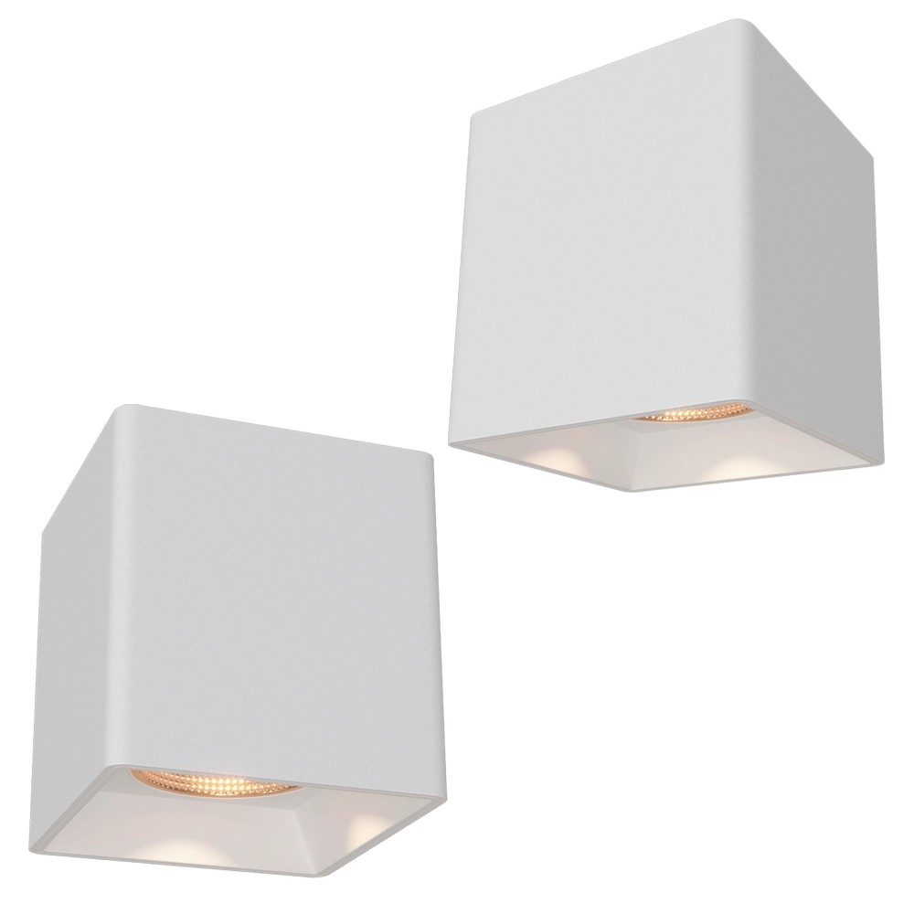 DENKIRS - Spot surface luminaire DK3080-WBR 3D Model