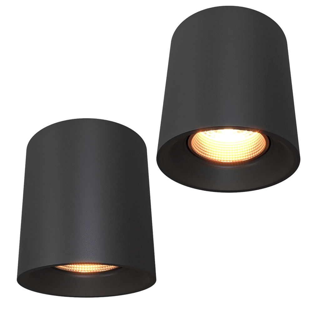 DENKIRS - Spot surface luminaire DK3090-BBR 3D Model