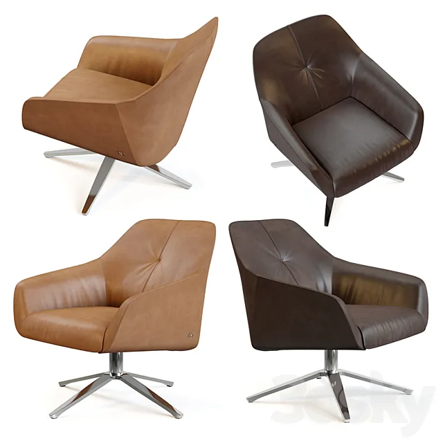 Desede DS-278 3D Model