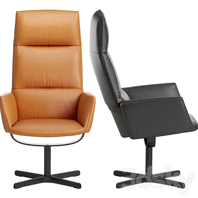 Desede DS-344 3D Model