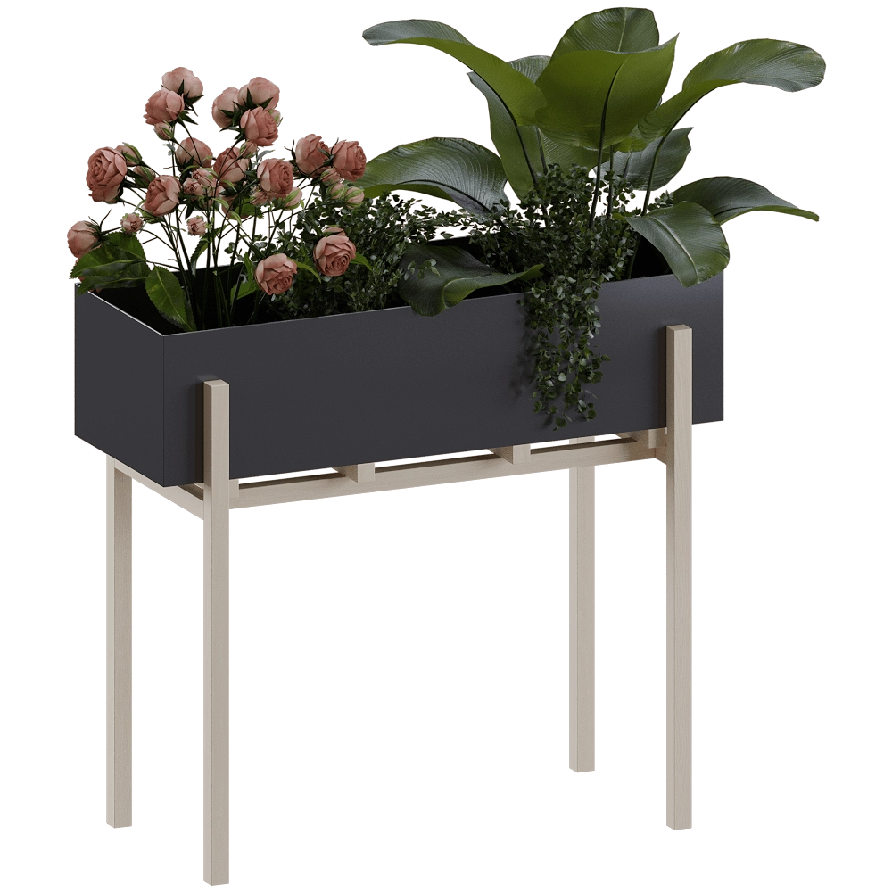 Design House Stockholm - Botanic Stand & Pedestal 3D Model