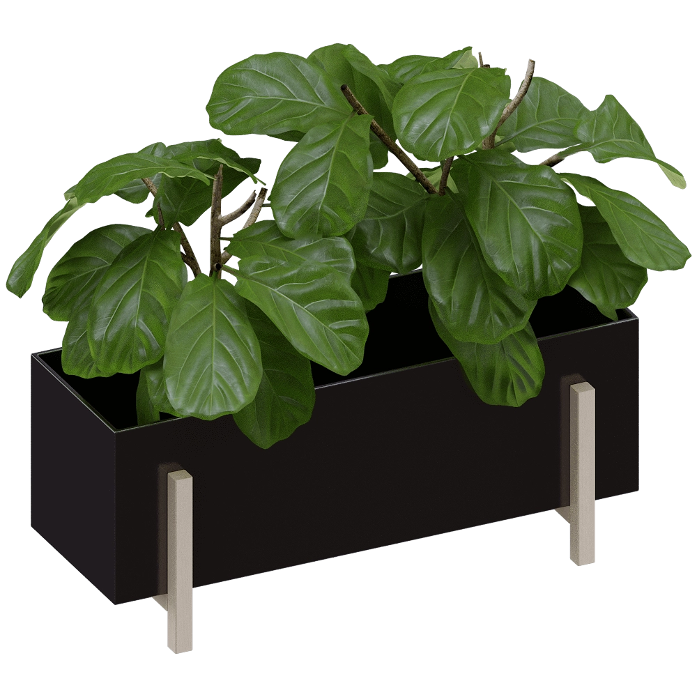 Design House Stockholm - Flower Box Botanic 3D Model