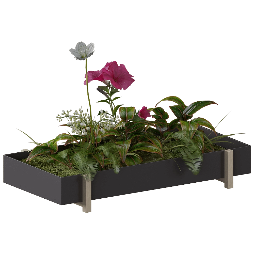 Design House Stockholm - Tray Box & Pot Botanic 3D Model