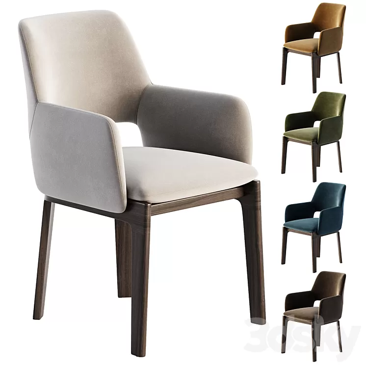 DEVON Chair with armrests By Molteni & C. 3D Model