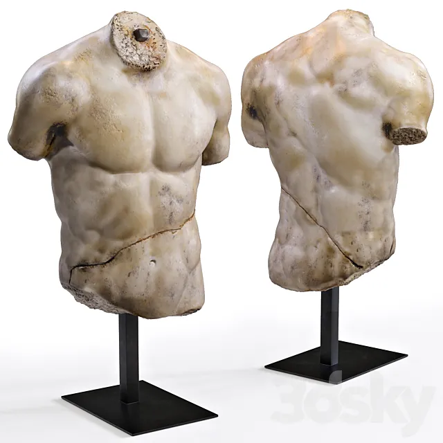 DISCOPHORUS TORSO 3DModel