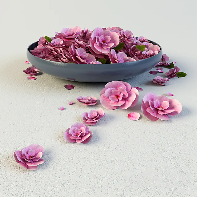 dish flowers 3D Model