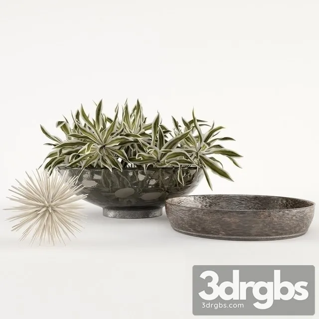 Dracaena Reflexa Bouquet 3D Model Free