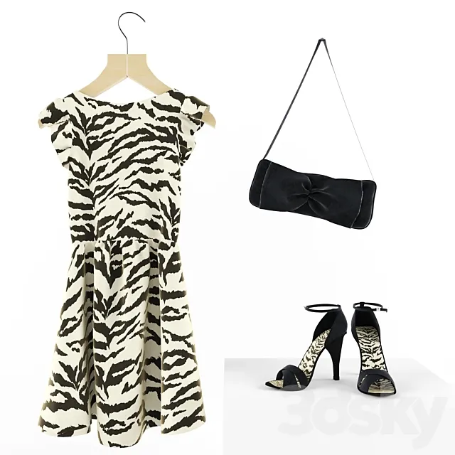 Dress. shoes and bag Free Download