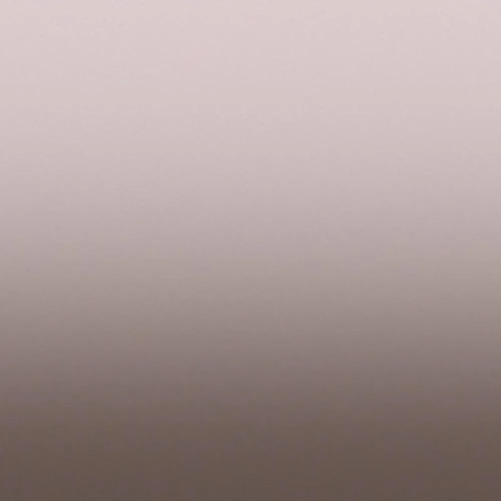 Dress-wall - Gradient wallpaper Cold brown 3D Model