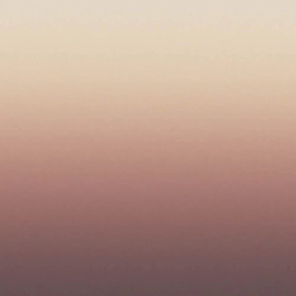 Dress-wall - Gradient wallpaper Pink-brown 3D Model