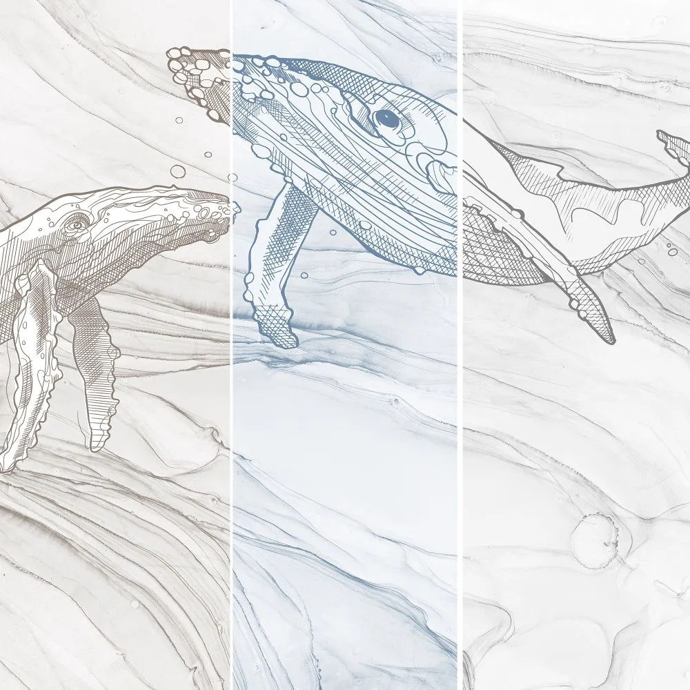 Dress-wall - Wallpaper Comandor 3D Model