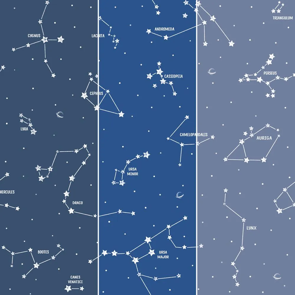 Dress-wall - Wallpaper Constellations 3D Model