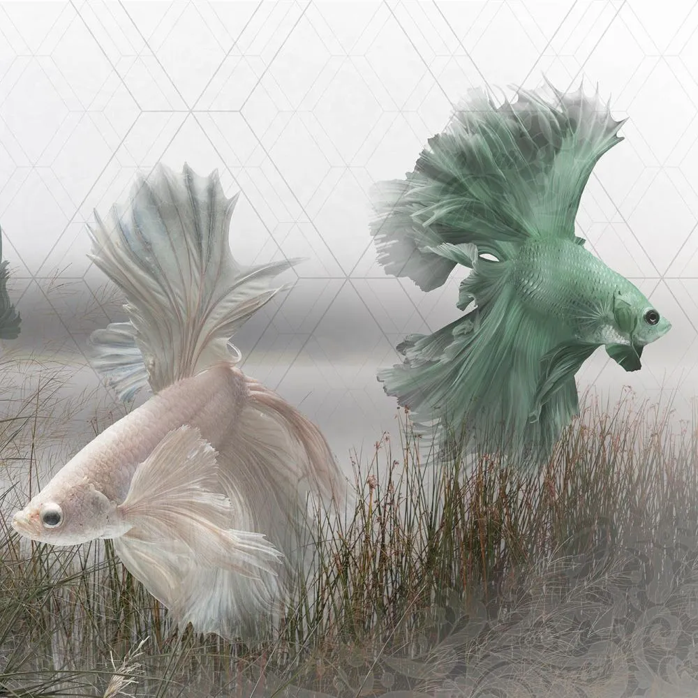 Dress-wall - Wallpaper Fish Betta 3D Model