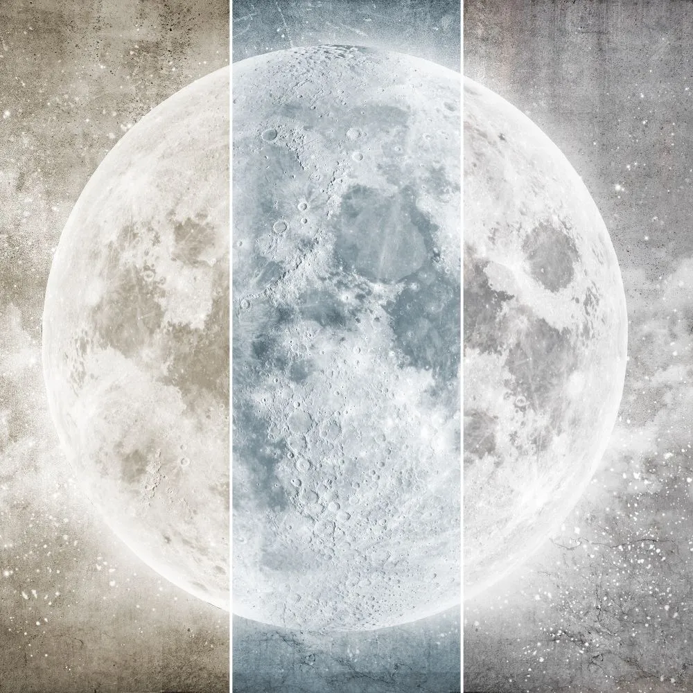 Dress-wall - Wallpaper Full moon 3D Model