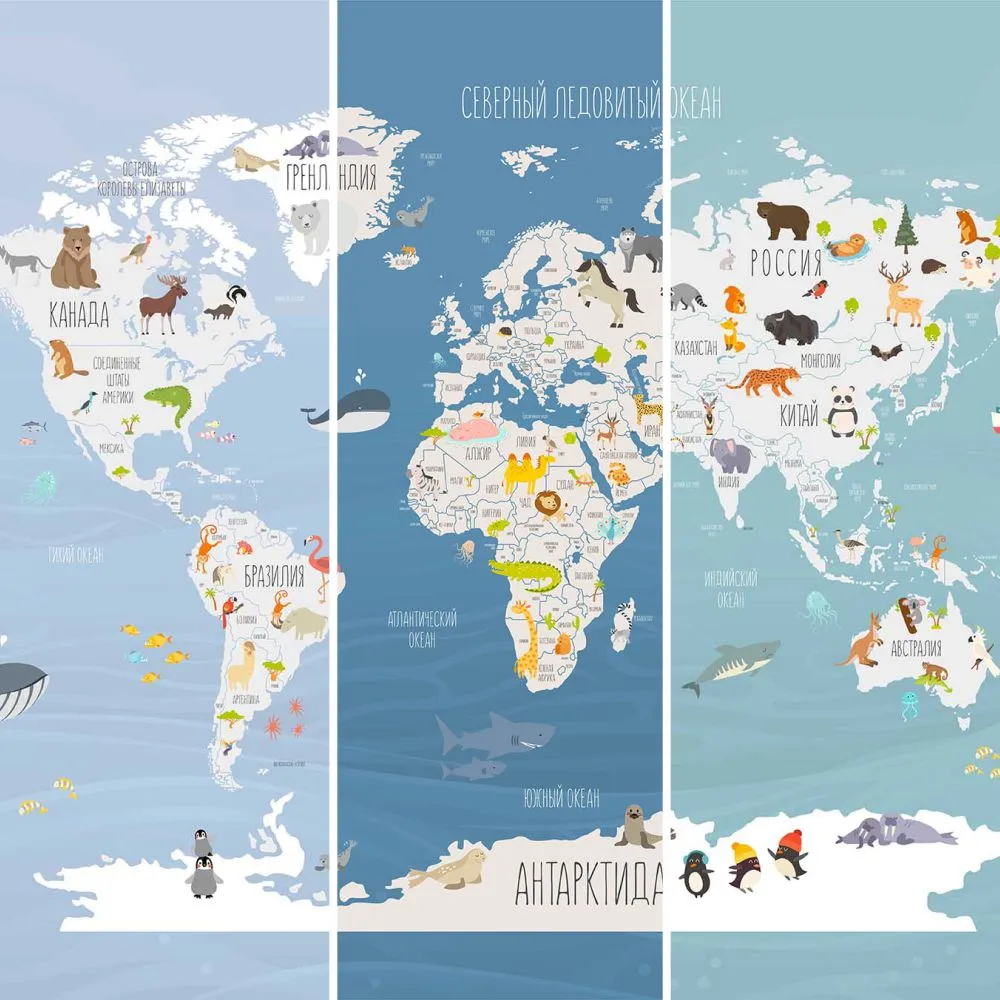 Dress-wall - Wallpaper Oceania world map 3D Model