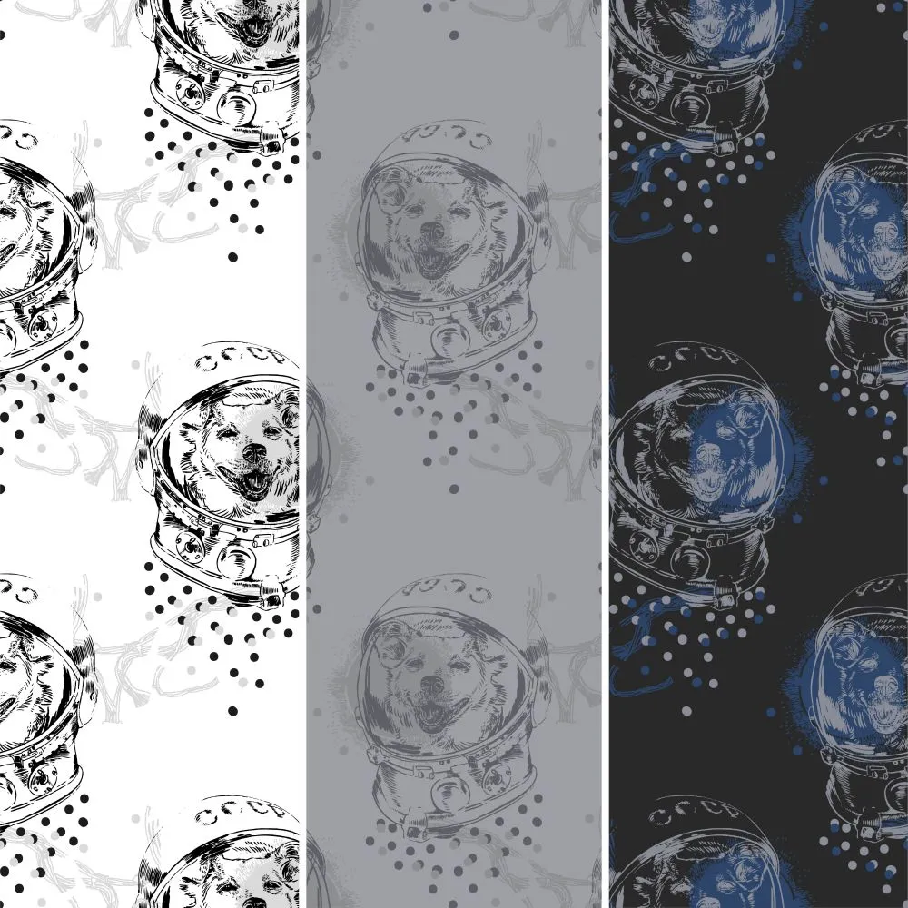 Dress-wall - Wallpaper Squirrel 3D Model