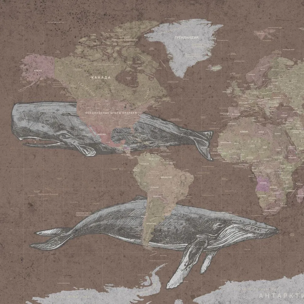Dress-wall - Wallpaper World map with whales 3D Model