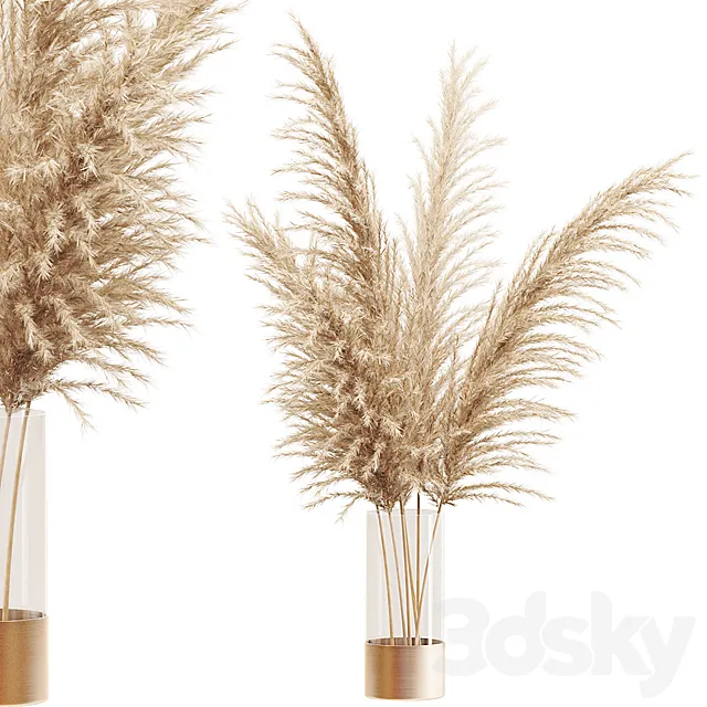 Dried flower pampas grass in glass gold vase 3D Model