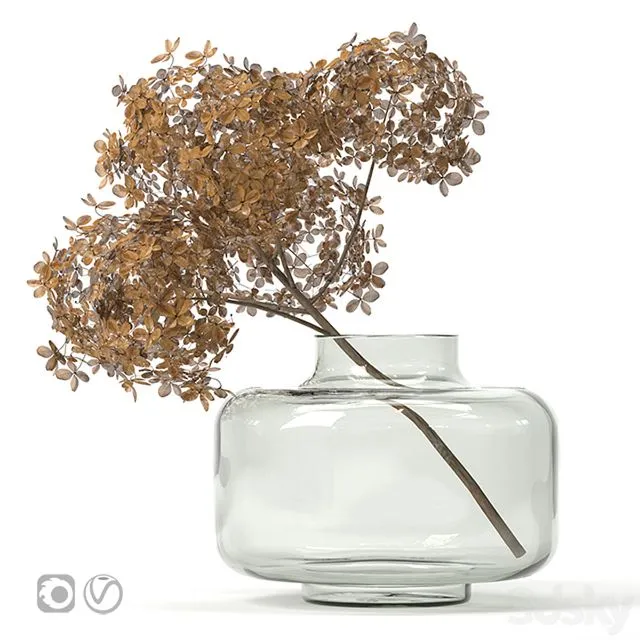 Dried flower vase 3D Model