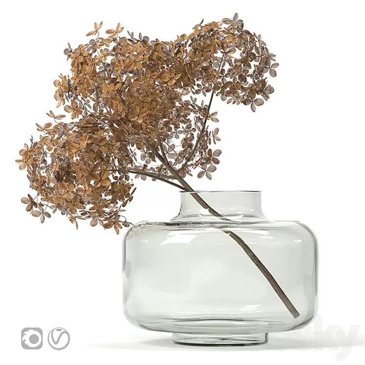 Dried flower vase 3D Model