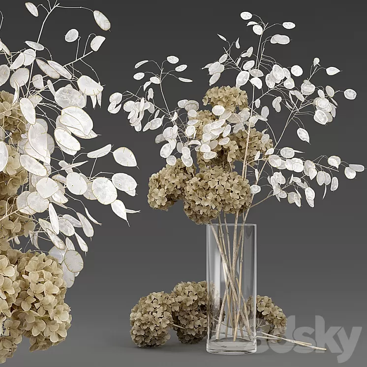 Dried flowers 3D Model
