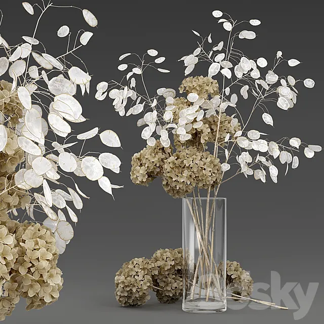 Dried flowers 3D Model
