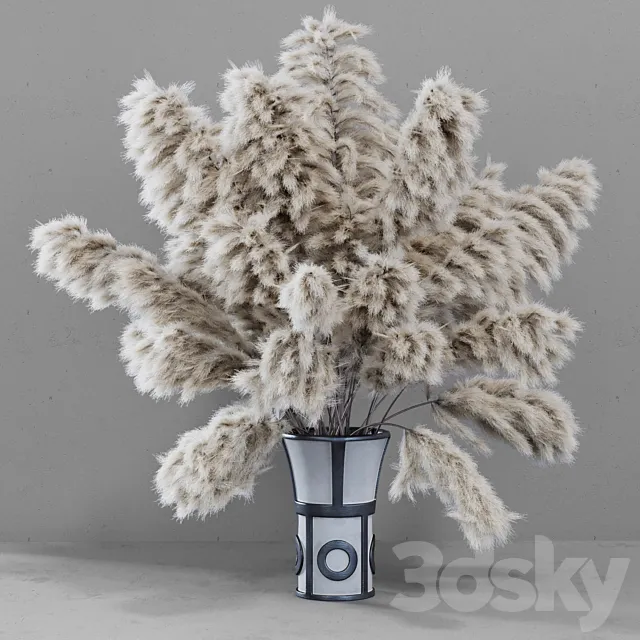 DRIED FLOWERS _ pampas grass 3DModel
