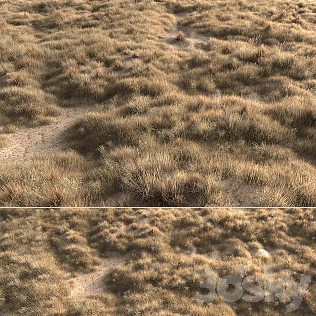 Dried grass 3D Model