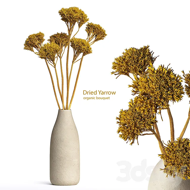 Dried Organic Bouquet Yarrow 3D Model