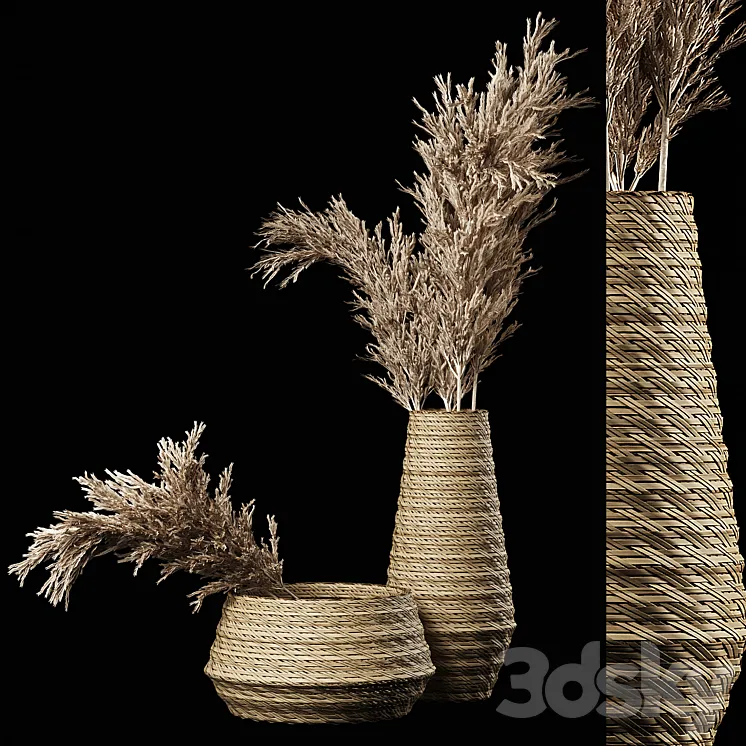 Dried Pampas Bouquet in Rattan Wicker Vases 3D Model Free