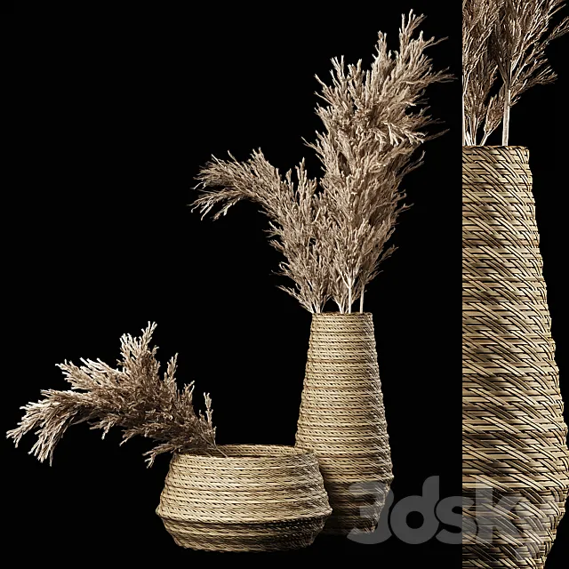 Dried Pampas Bouquet in Rattan Wicker Vases 3DModel